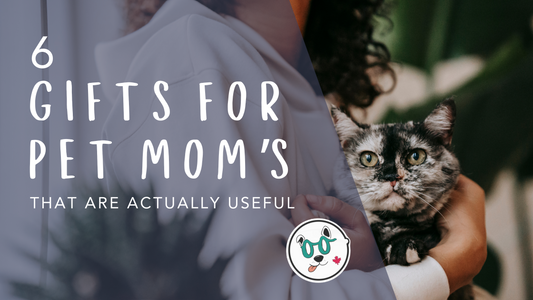 6 Gift Ideas for Pet Moms (That Are Actually Useful)