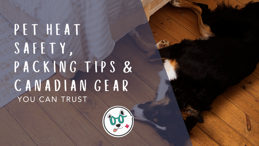 an image of a dog laying on hardwood floor with a suitcase open on the bed.