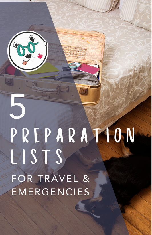 The Ultimate Emergency & Travel Checklist for Canadian Pet Parents