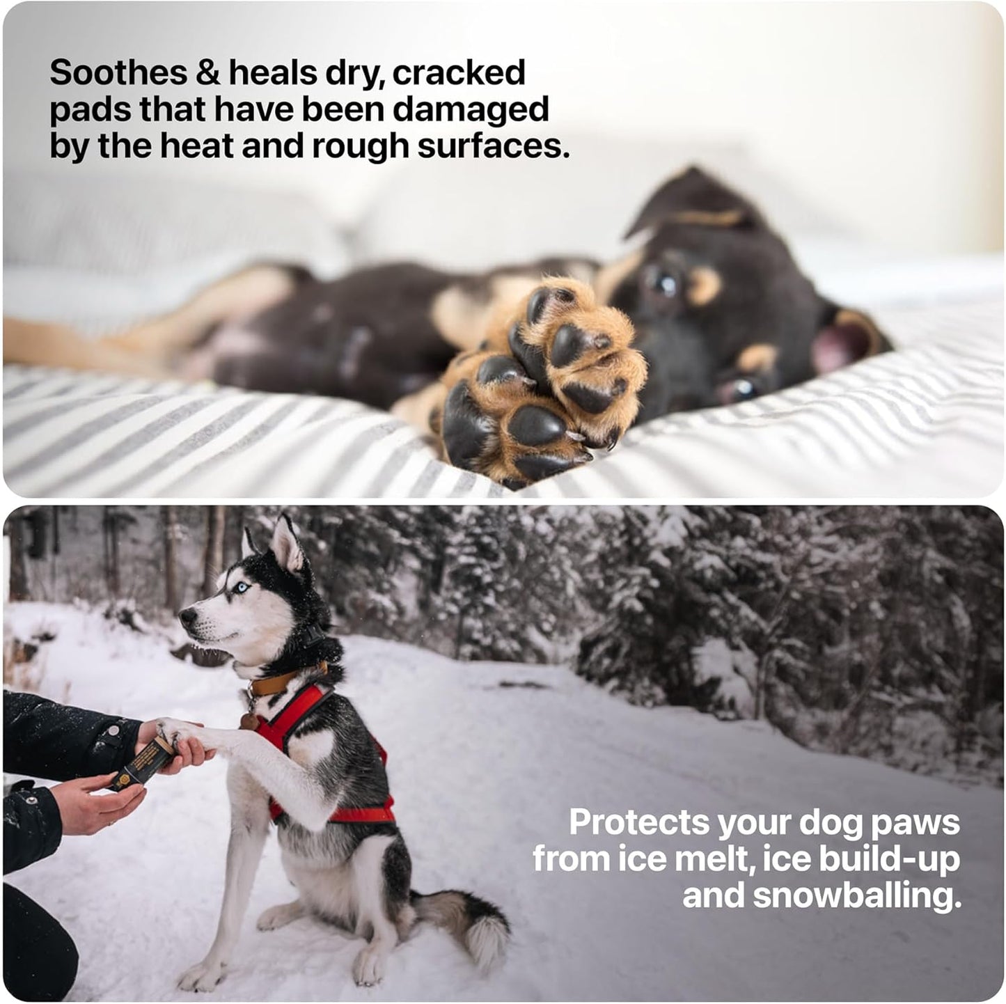 SÄKER Dog Paw Balm | Veterinarian-Approved Paw Protection for Dogs | Handmade in Canada | Paw Soother Safe to Lick for Dry, Cracked, and Rough Paws