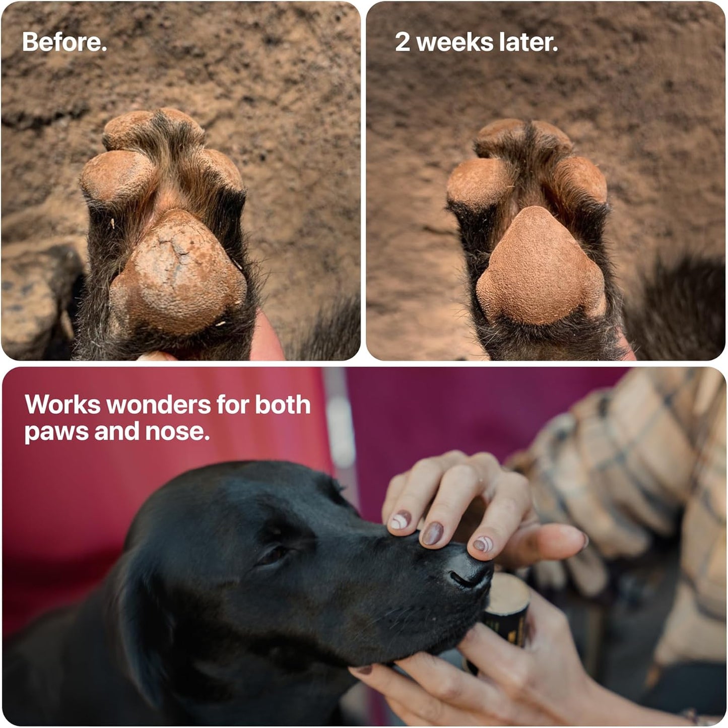 SÄKER Dog Paw Balm | Veterinarian-Approved Paw Protection for Dogs | Handmade in Canada | Paw Soother Safe to Lick for Dry, Cracked, and Rough Paws