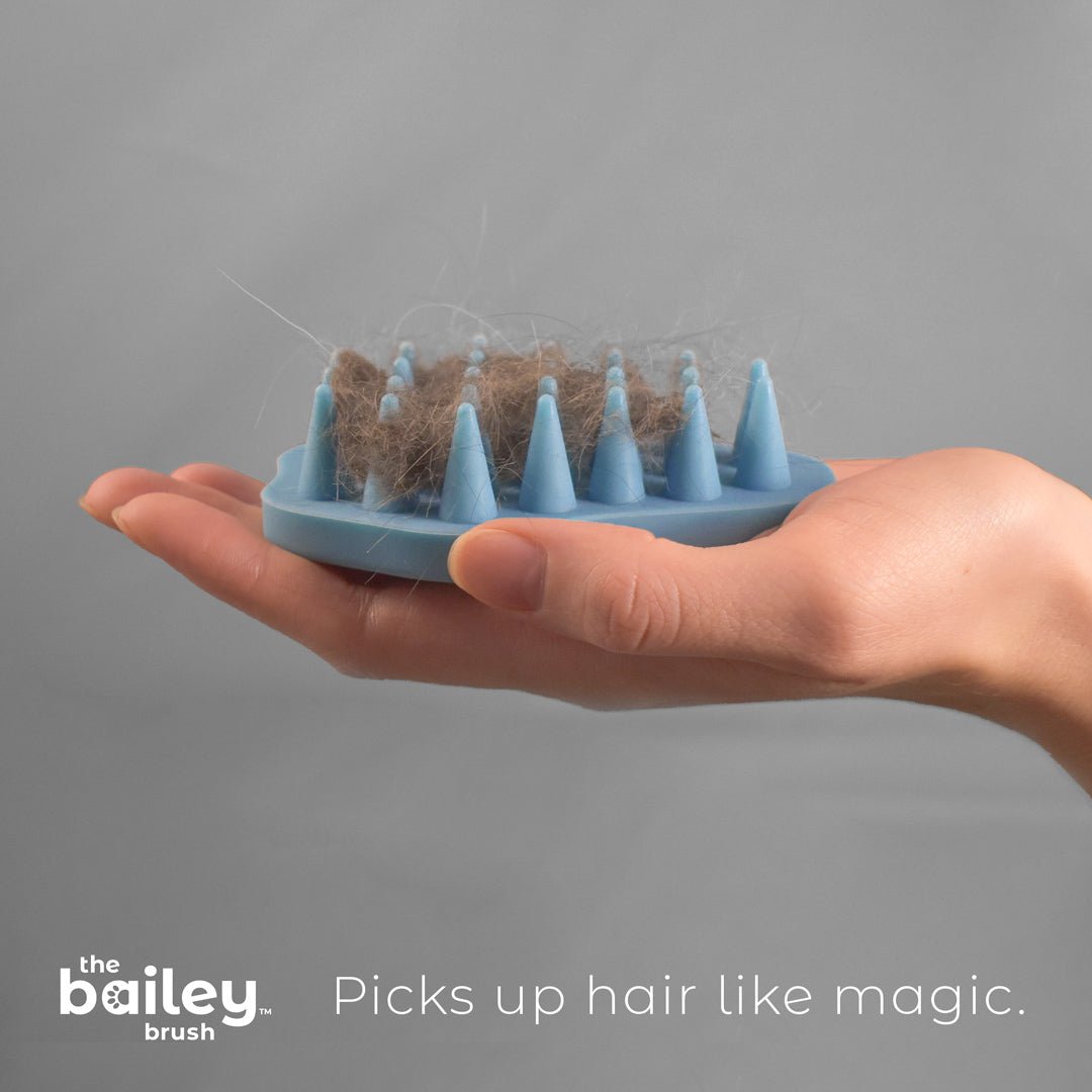 Blue pet grooming brush with collected hair on a gray background, featuring 'The Bailey Brush' brand.