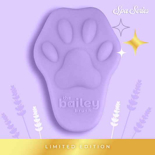Purple paw-shaped brush with 'the bailey brush' branding on a purple background with lavender leaves.