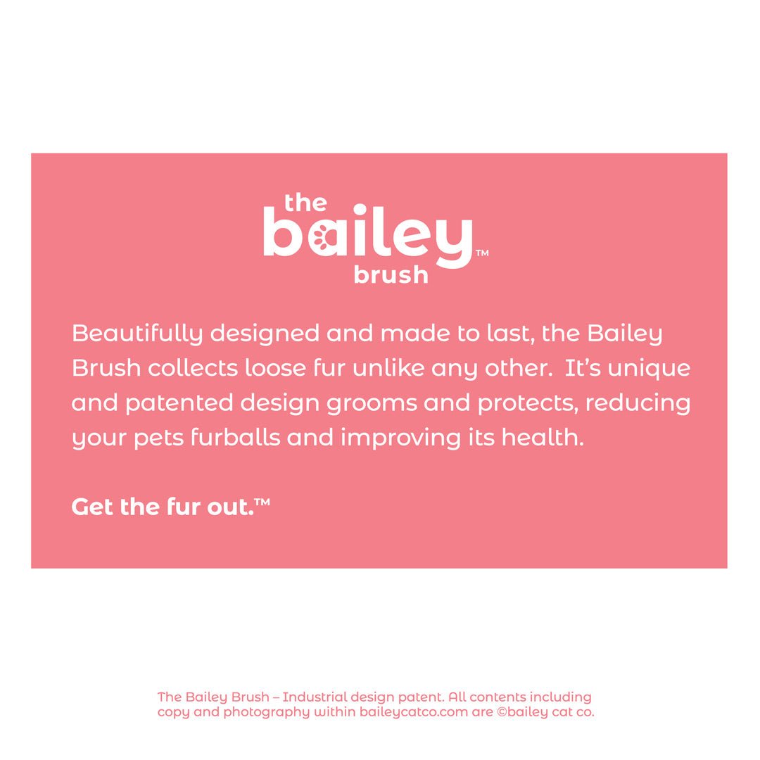 The Bailey Brush Cat Brush