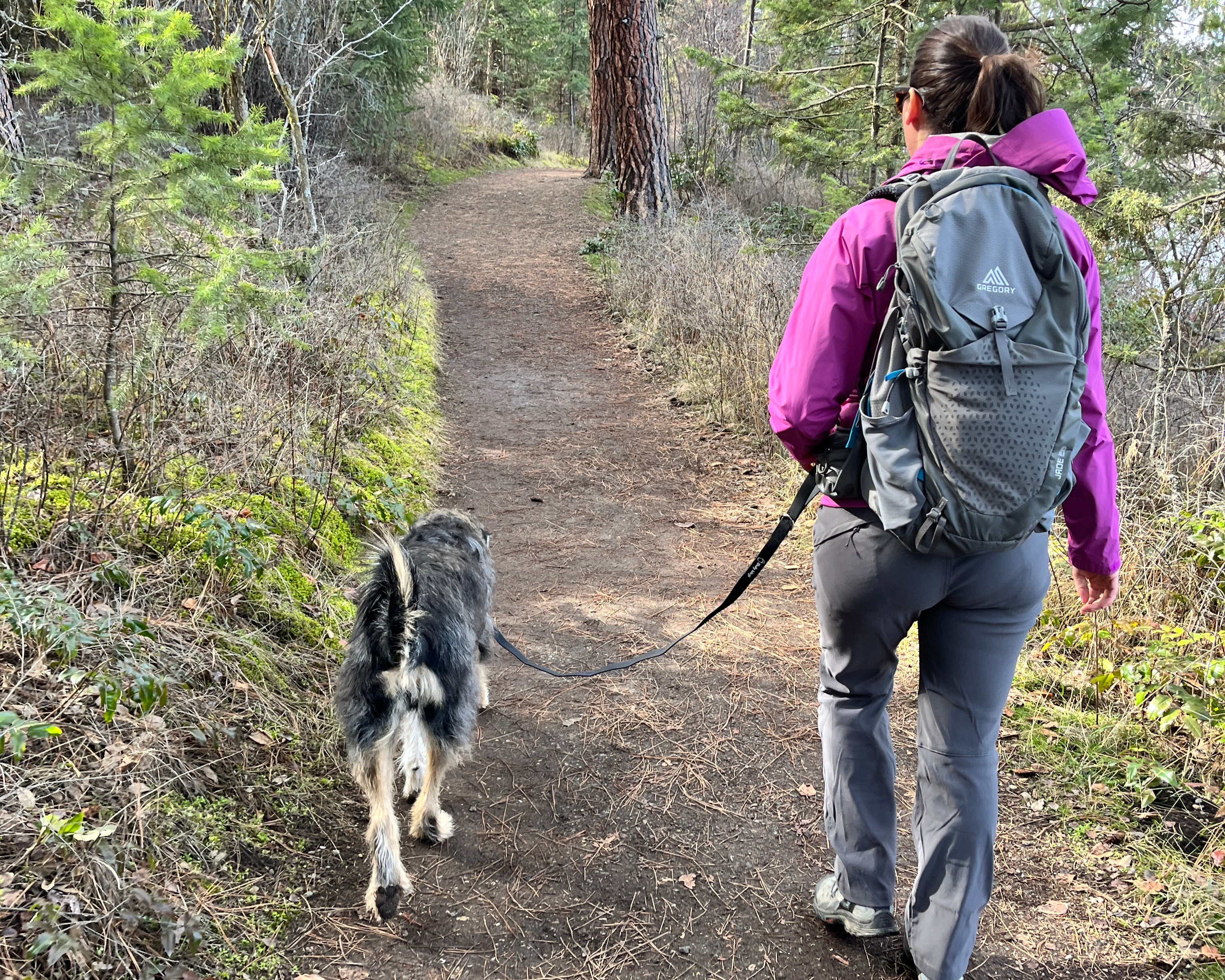 Person hiking with a backpack and dog on a trail in a forest