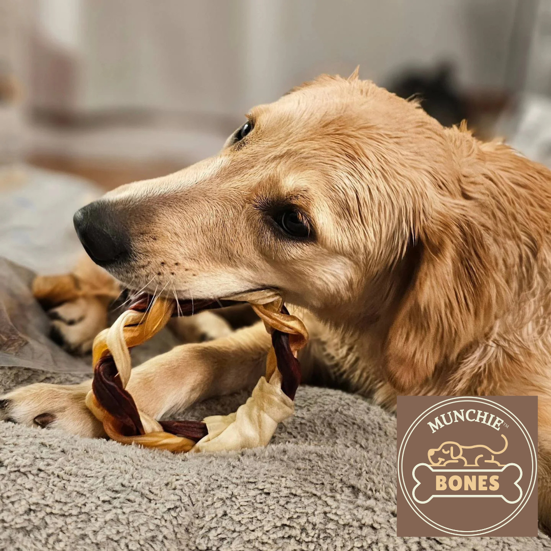 dog chewing on a collagen ring with munchie bones logo