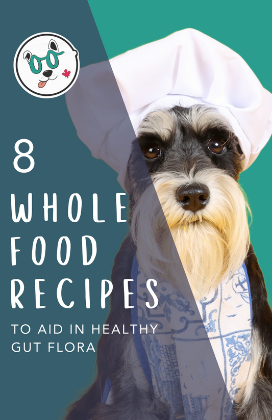 Whole Food Recipes to Promote Gut Health