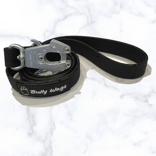 FloofPetProducts-BullyWags-waterproofdogleashforlargedogs-coloursilver