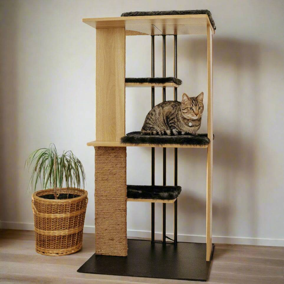 Cat sitting on a multi-level cat tree with a plant in the background