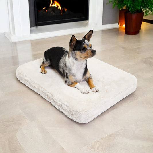 Dog sitting on a fluffy white pet bed in a cozy living room.