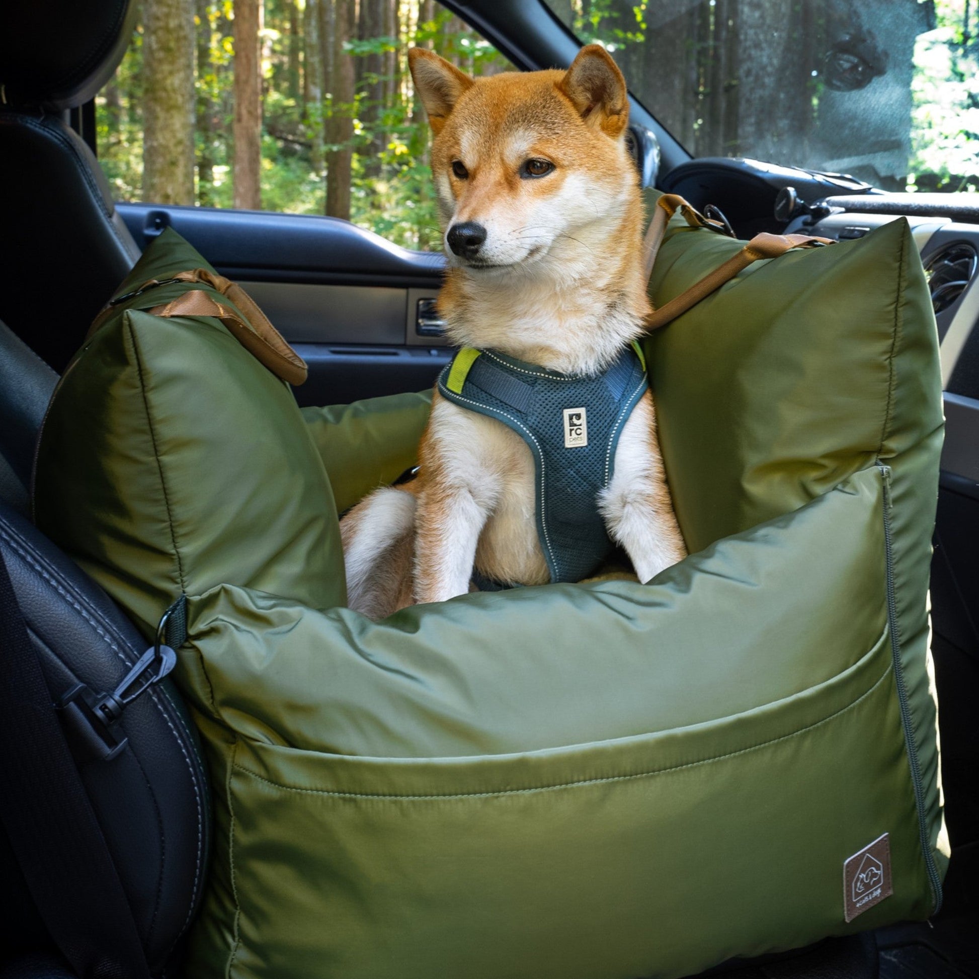 Dog sitting in a green pet seat in a car with a forest background