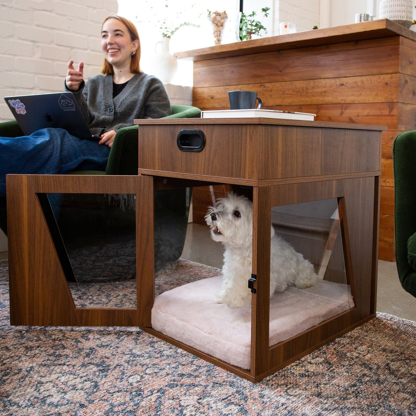Woman using a laptop with a small white dog inside a wooden pet crate in a living room.