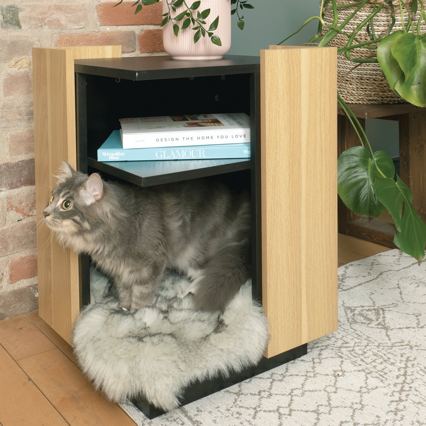 Cat sitting inside a wooden pet bed with books and decor in the background