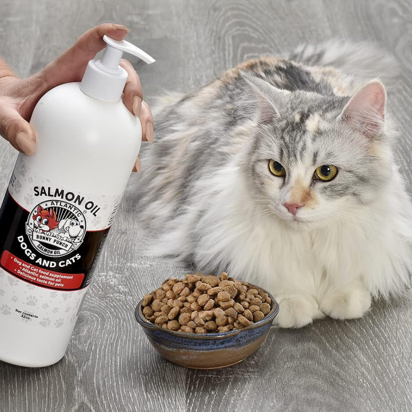 Healthy_Supplements_to_improve_Cat_Gut_Health_Canadian_sourced