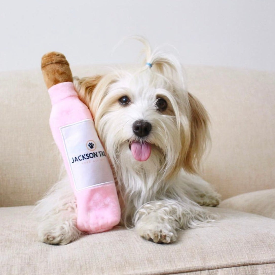 Dog with a pink leg sleeve and toy on a beige couch
