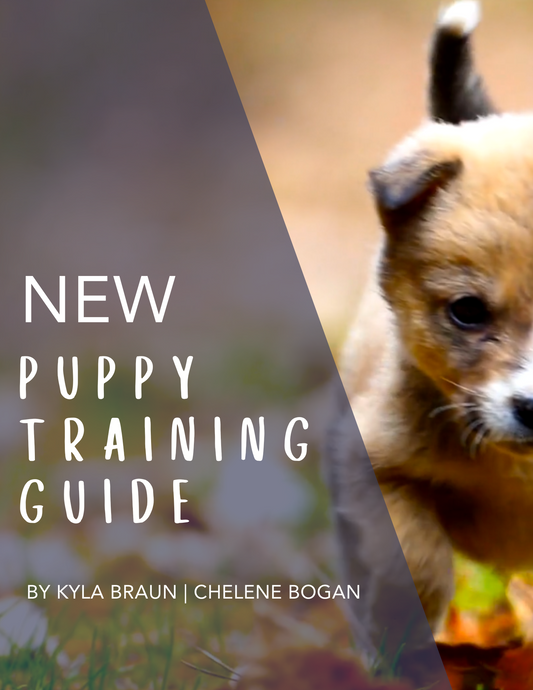 New Puppy Training Guide