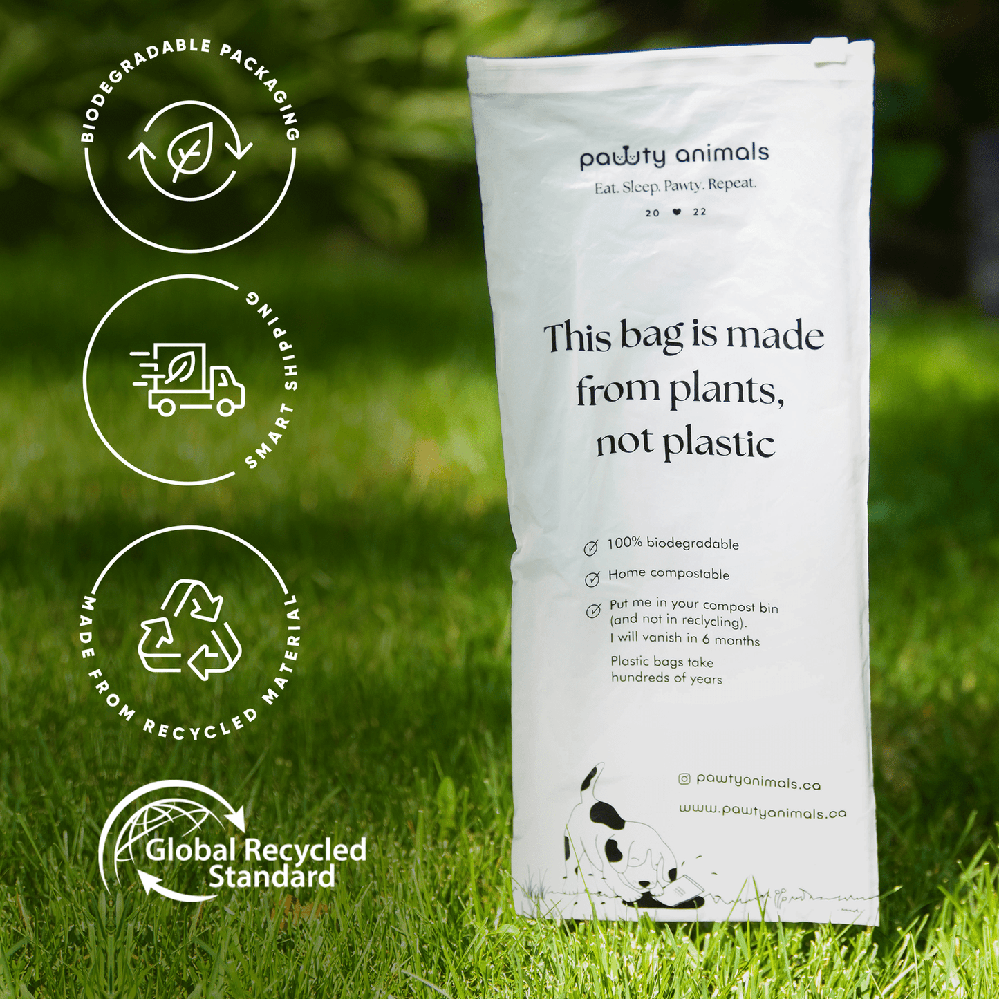 Biodegradable packaging bag