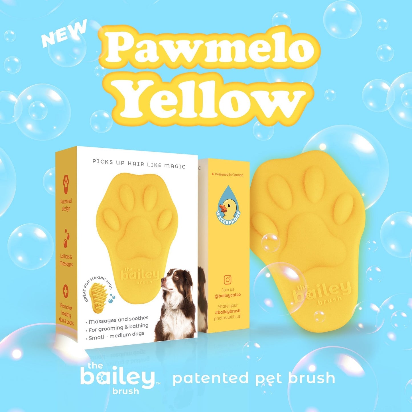 Yellow paw-shaped pet brush with packaging on a blue background with bubbles