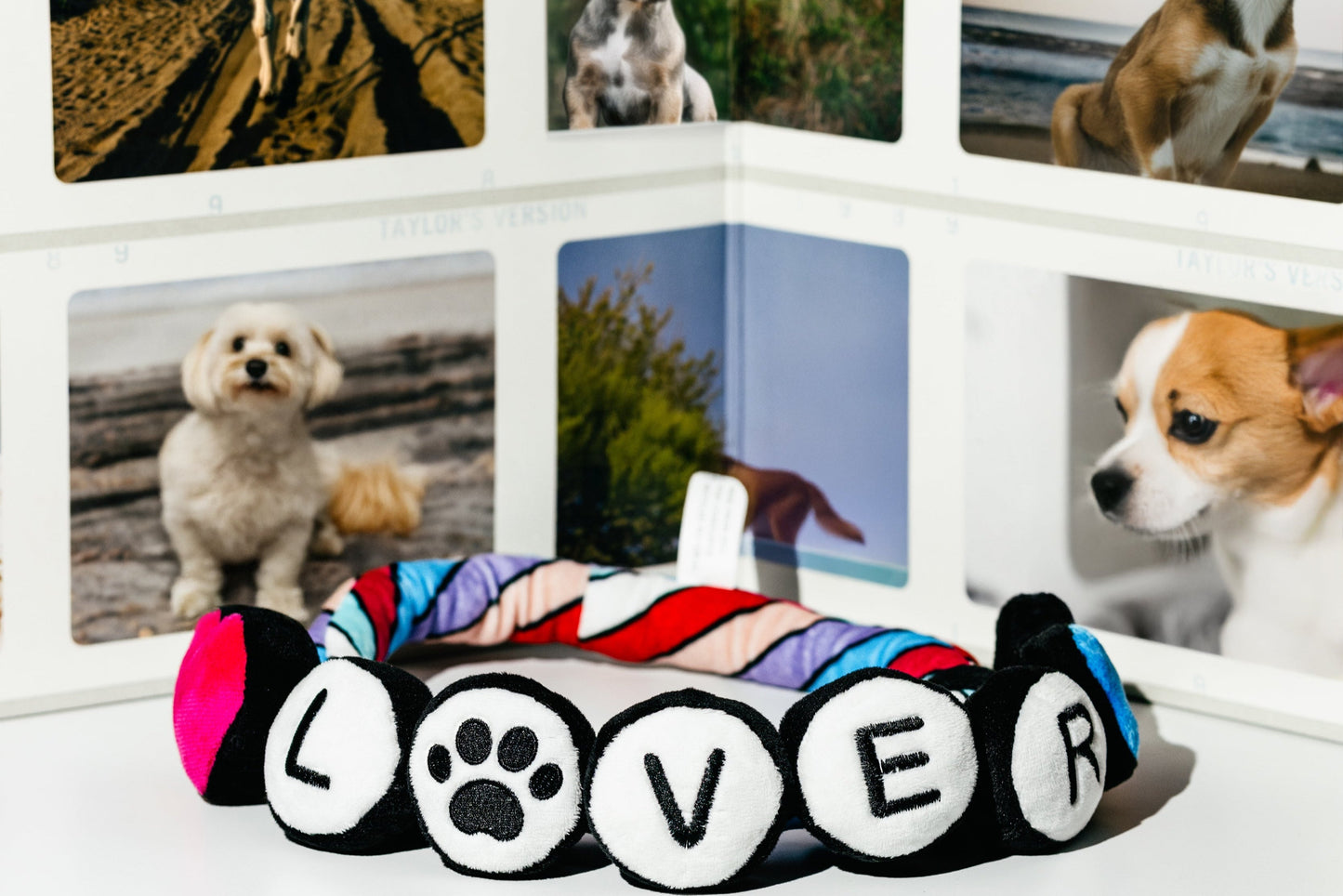Eco-Friendly Lover Friendship Bracelet - Rope Dog Toy
