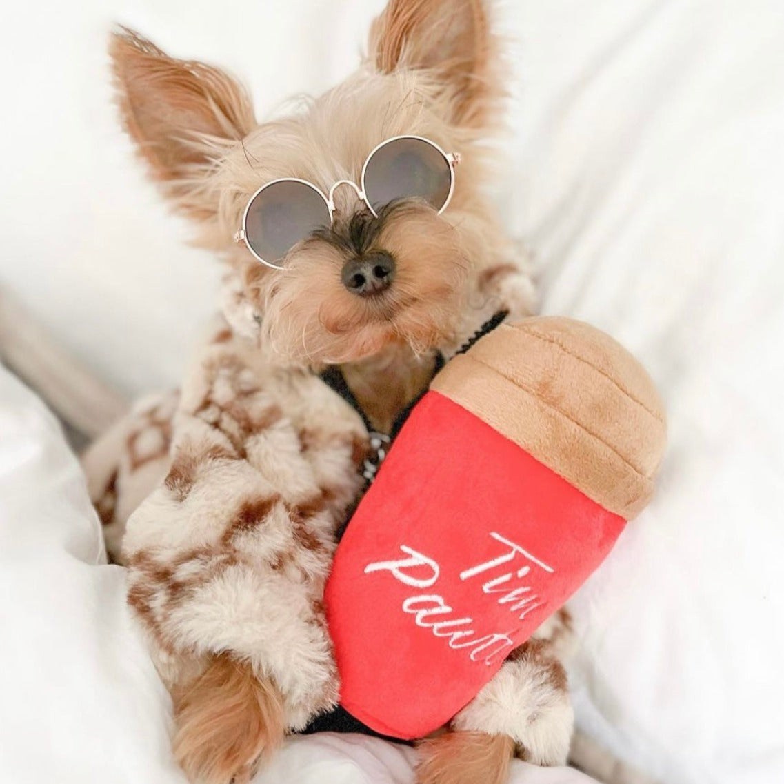 Dog wearing sunglasses and a red bandana with 'Tim Pawt' text on a white background