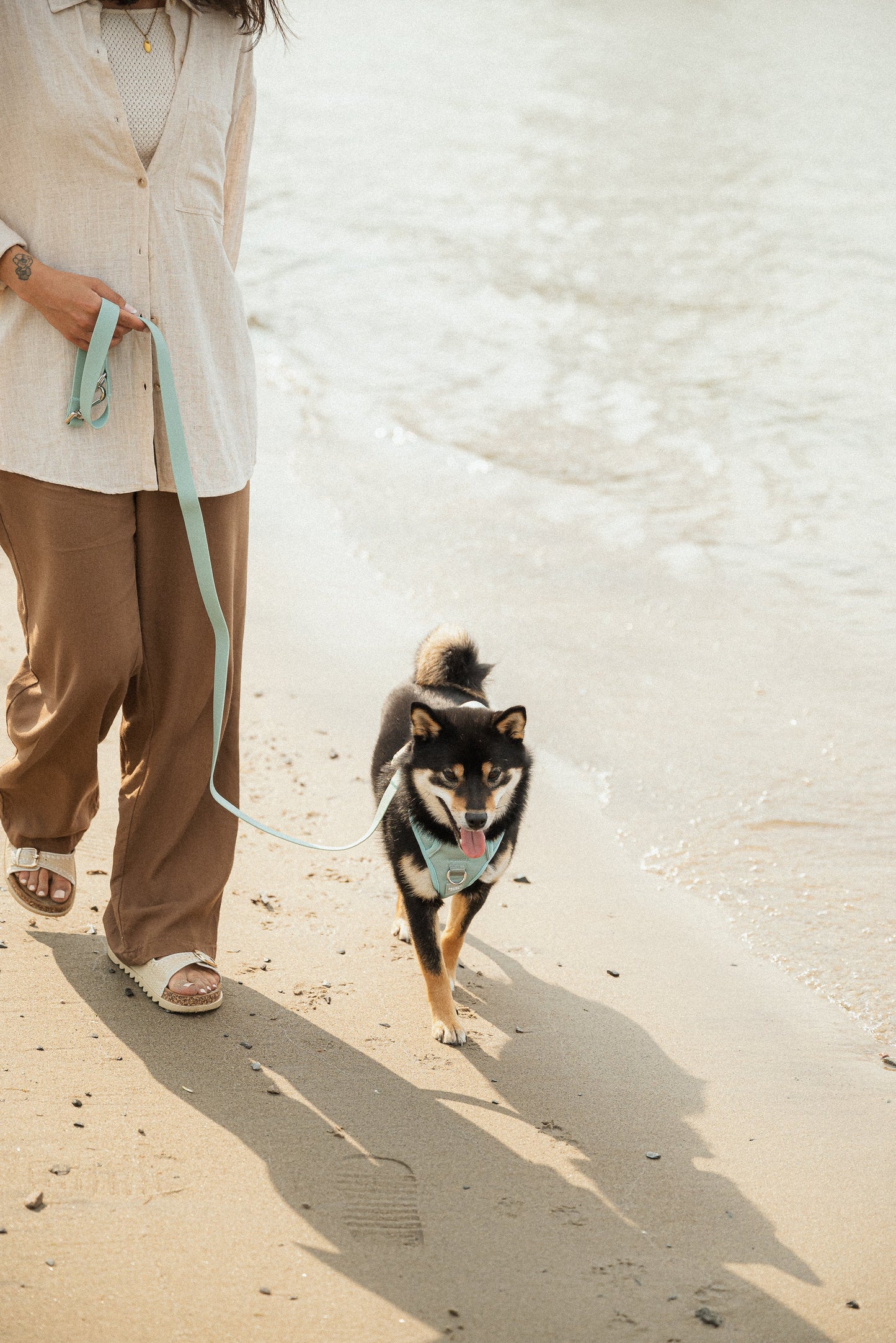 Person walking a dog on a leash by the water