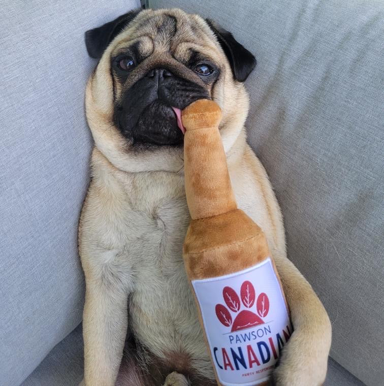 Pug holding a plush bottle labeled 'Pawson Canadian'