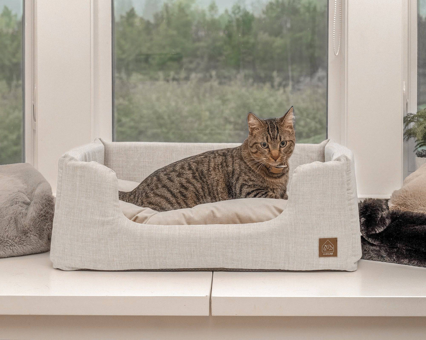 Sansa Modern Pet Bed pet bed from Floof Pet Products on a neutral background