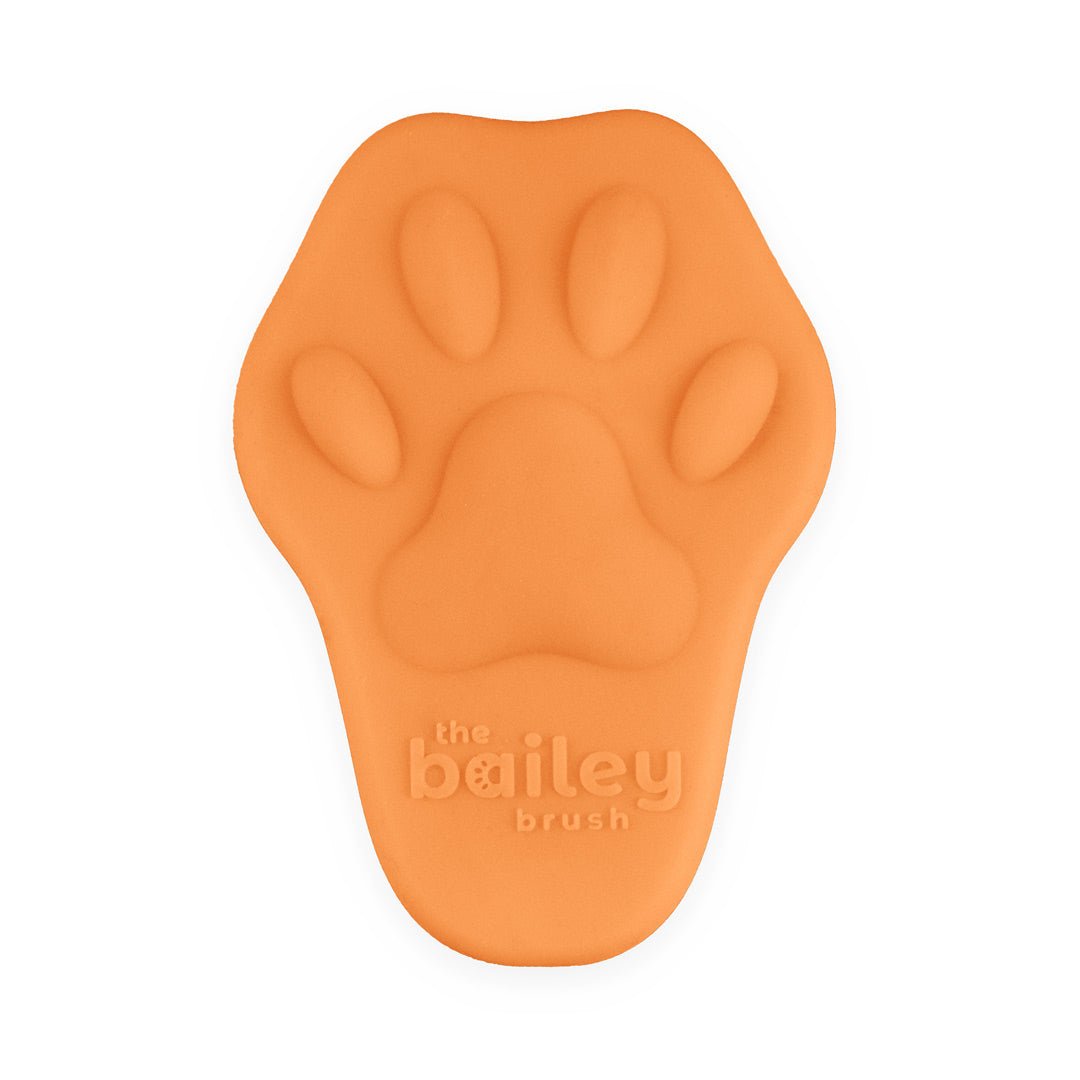The Bailey Brush Cat Brush