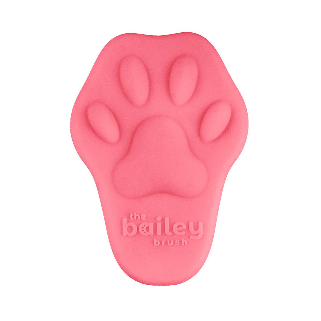 The Bailey Brush Cat Brush