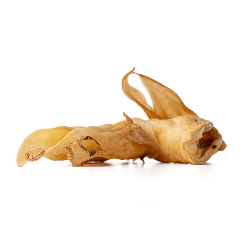 Close up of dehydrated lamb ear dog chews best protein rich dog chew