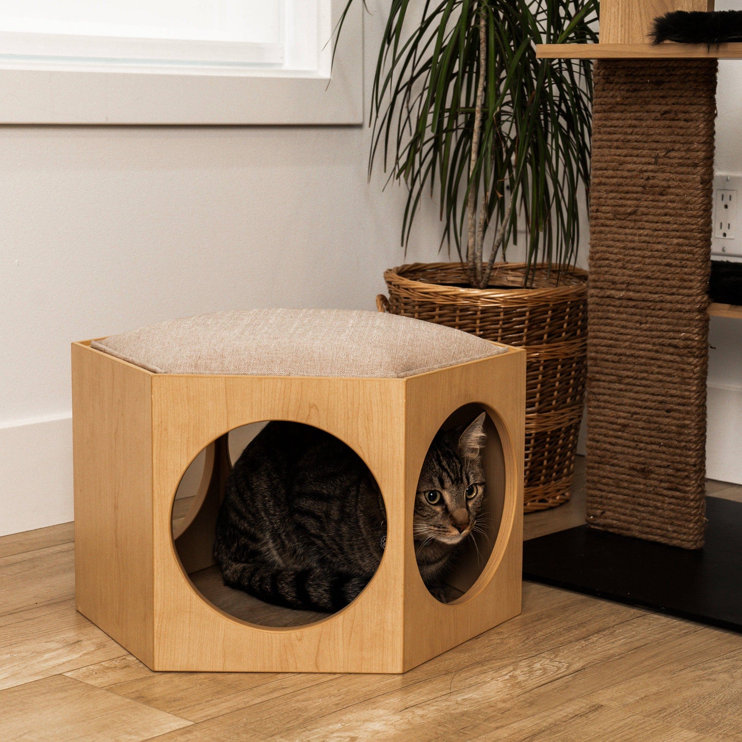 Suki Cat Stool and Shelf