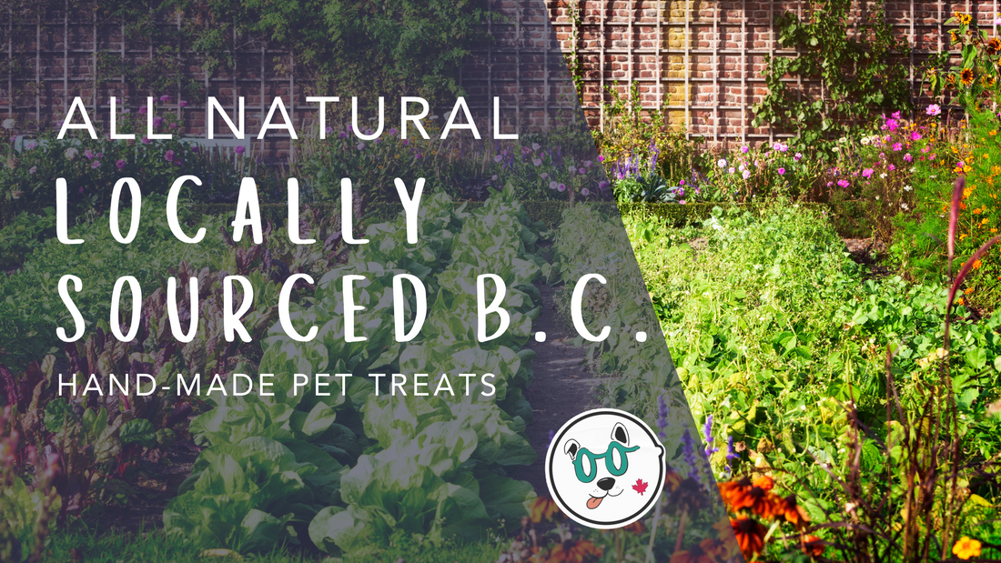 Locally-Sourced B.C. Hand Made Pet Treats