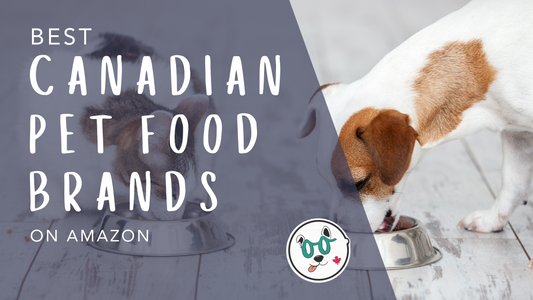 The Best Pet Food Brands on Amazon