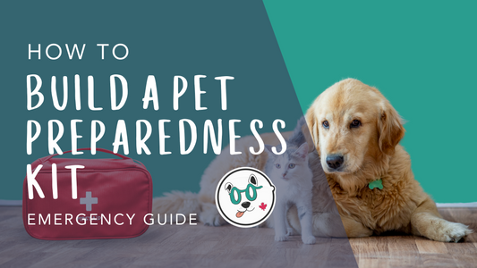 How to Build a Pet Preparedness Kit: It's A Floofin' Fun and Easy Guide