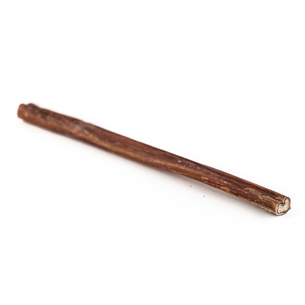 Natural beef bully stick single ingredient dog chew treat