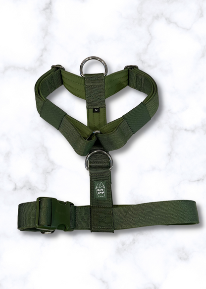 Y Strap Adventure Harness - Cactus Green pet collars & harnesses from Floof Pet Products on a neutral background