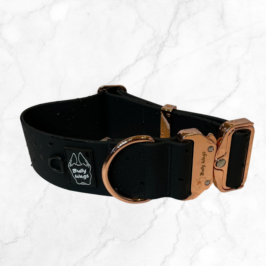 2" Black waterproof dog collar with rose gold buckle on a white background