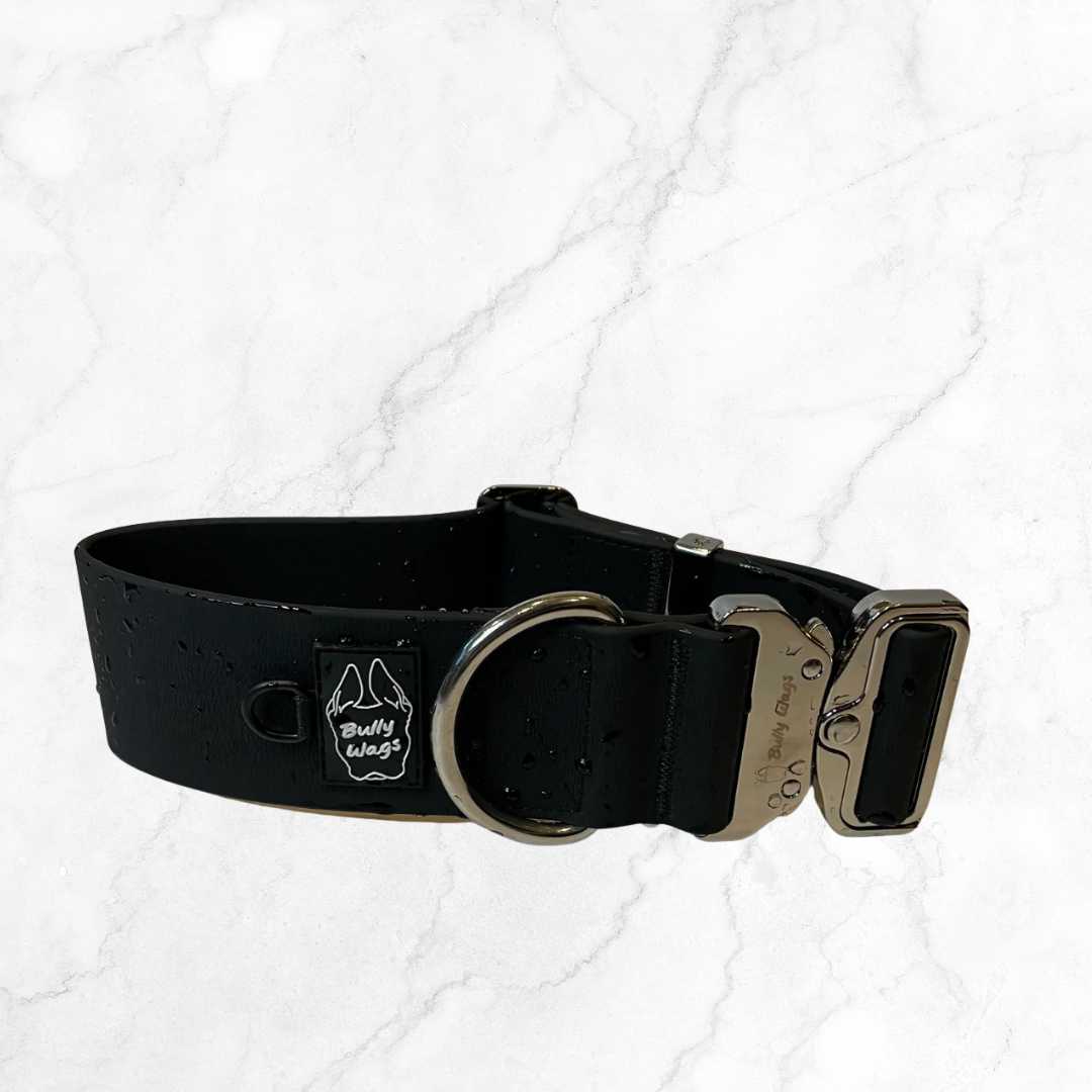 2" Black waterproof dog collar with silver metal buckle on a white textured background