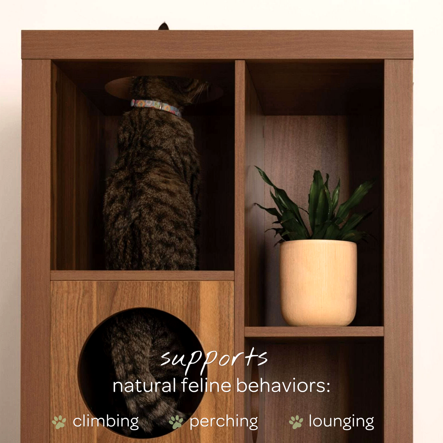 cliff jr.- cat tree bookshelf
