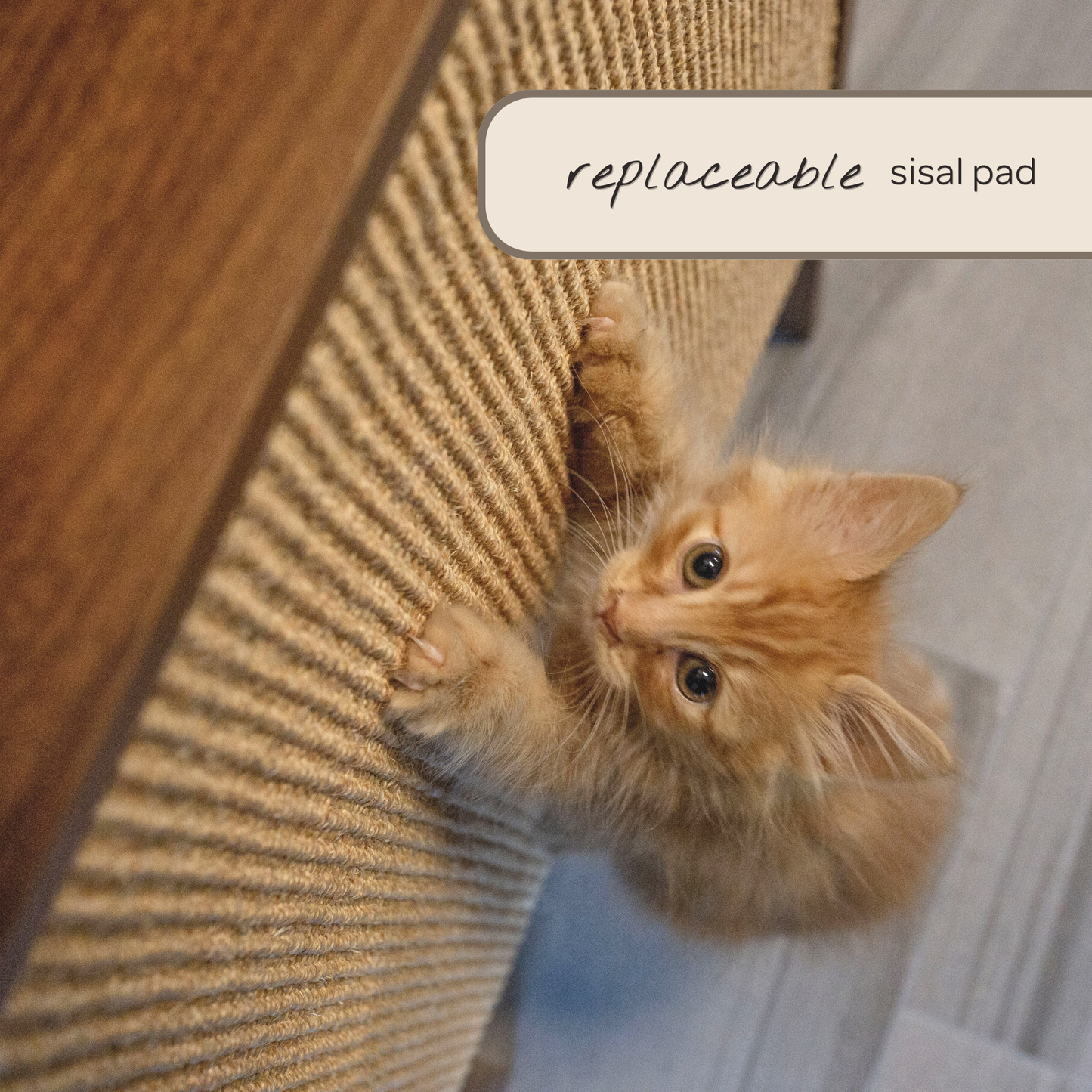 Wesley Wall Cat Scratcher