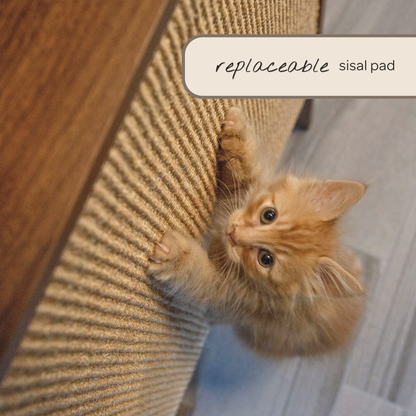 Wesley Wall Cat Scratcher