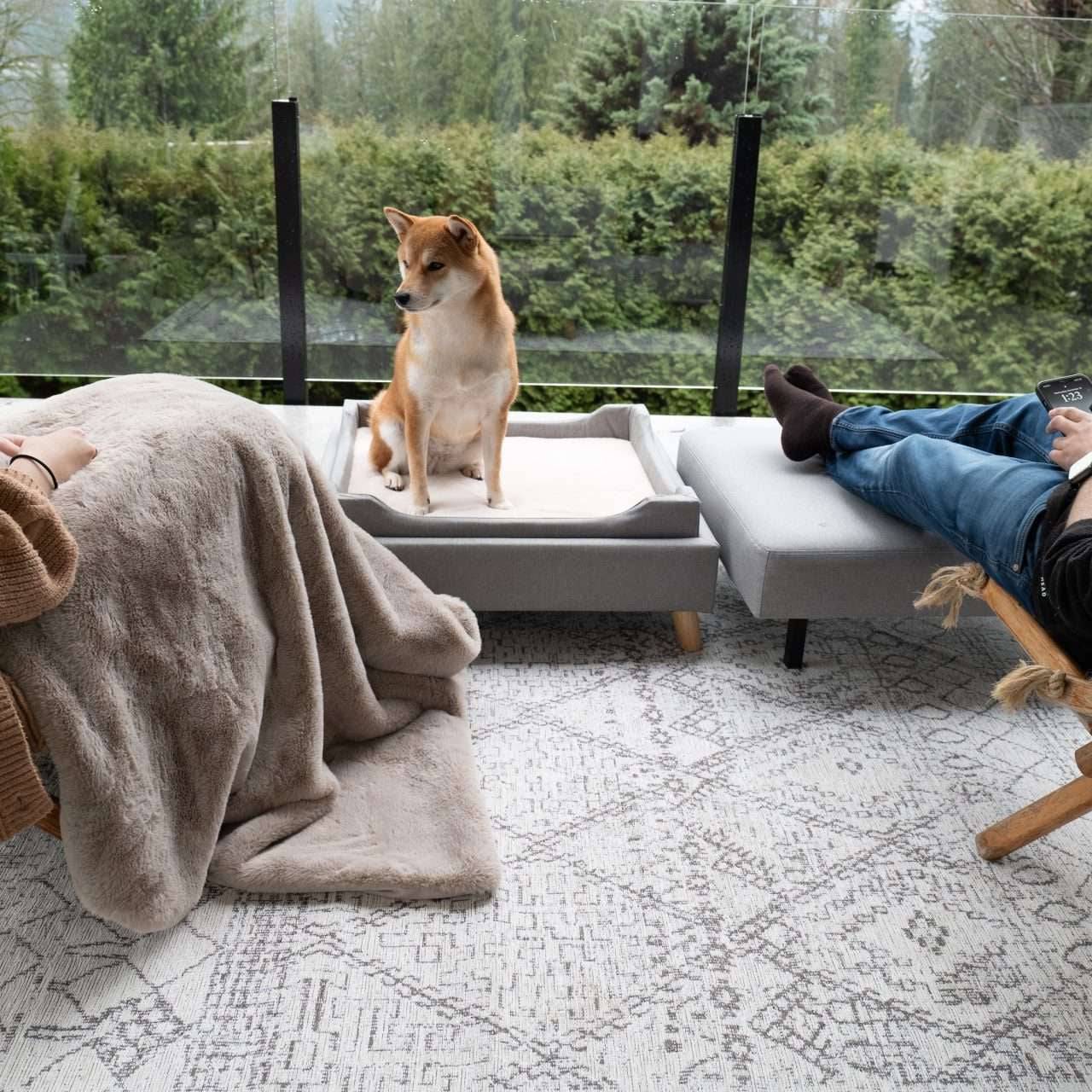 4_Cats_and_Dogs_Home_Furnishings-odern pet furniture ottoman with padded comfort cushion