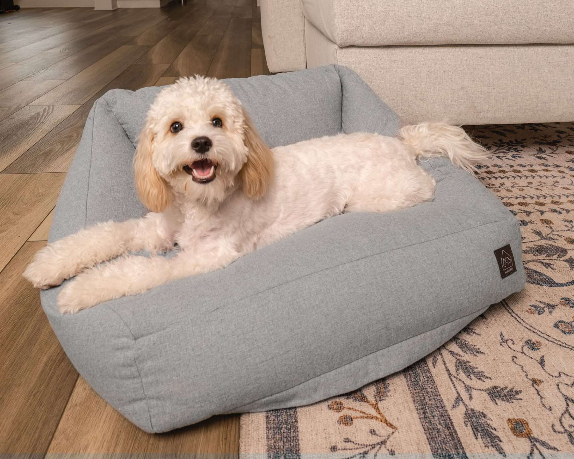 4 Cats and Dogs Pet Furniture-contemporary pet furniture