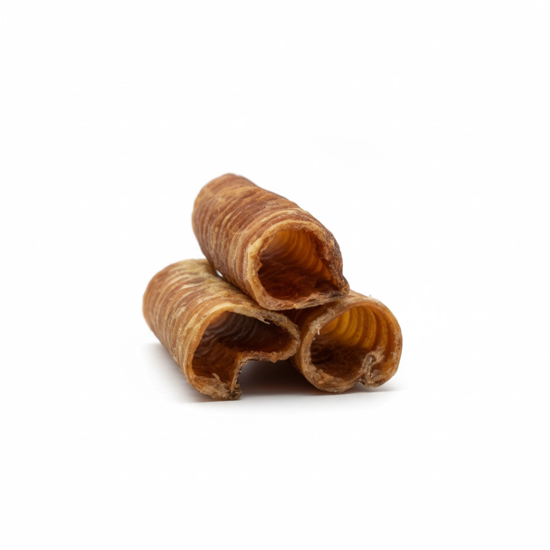Everyday Chew Stock-Up
