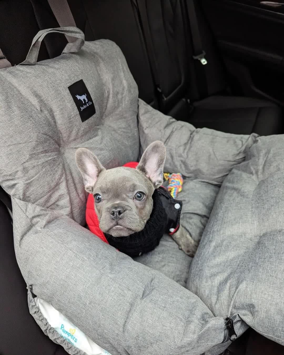 Dog Car Seat & Bed for Small and Medium Dogs