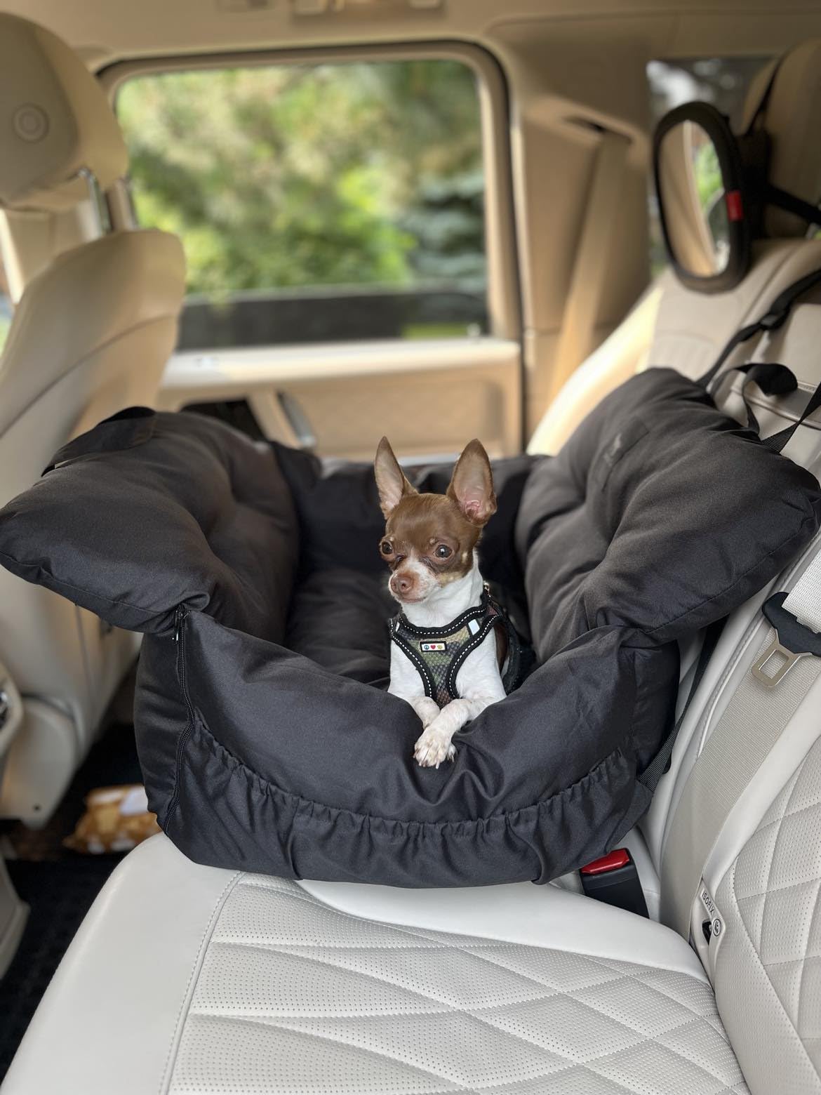 Dog Car Seat & Bed for Small and Medium Dogs