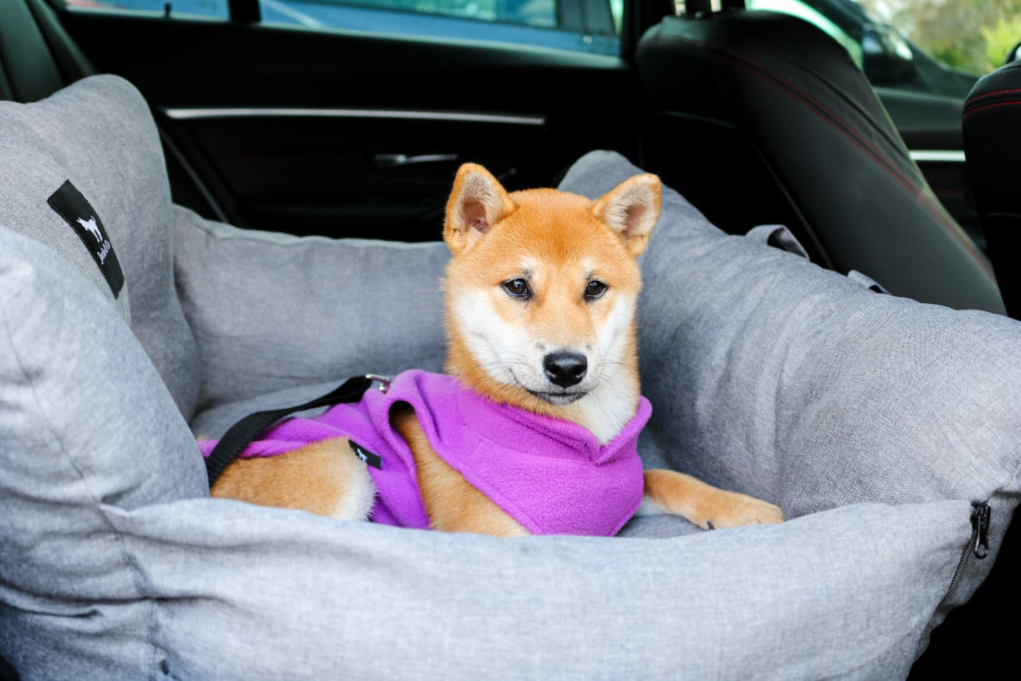 Dog Car Seat & Bed for Small and Medium Dogs