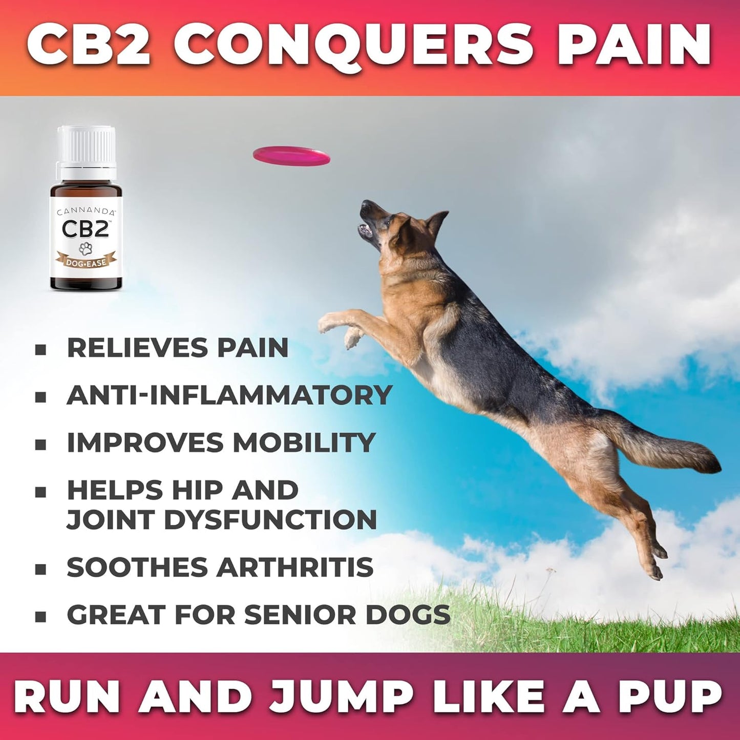 CB2 Ultra Concentrated Oil