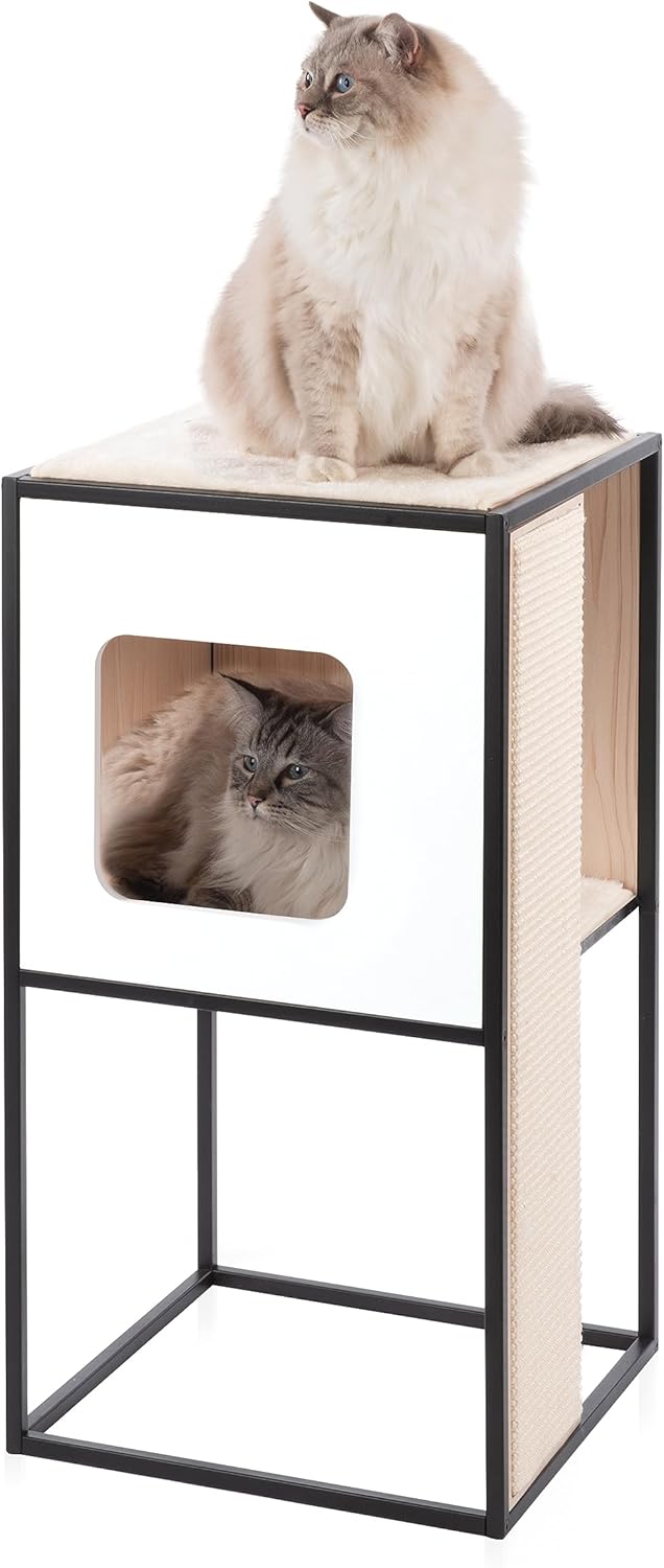 Cat Litter Box Enclosure