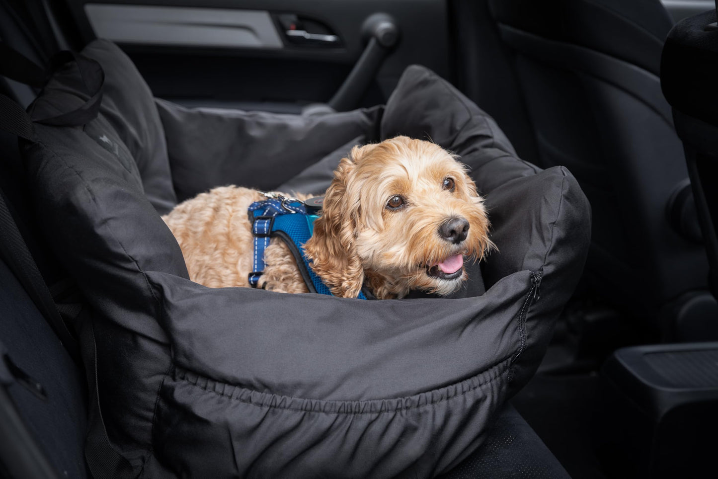 Dog Car Seat & Bed for Small and Medium Dogs